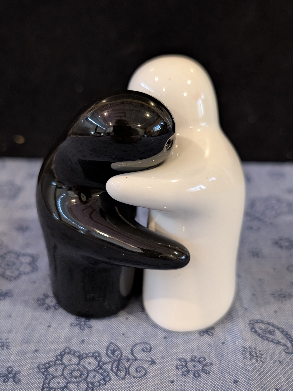Ceramic Embrace Salt & Pepper Shakers - Black and White
